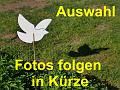 Z Auswahl FF